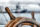 Explore the Independence Seaport Museum