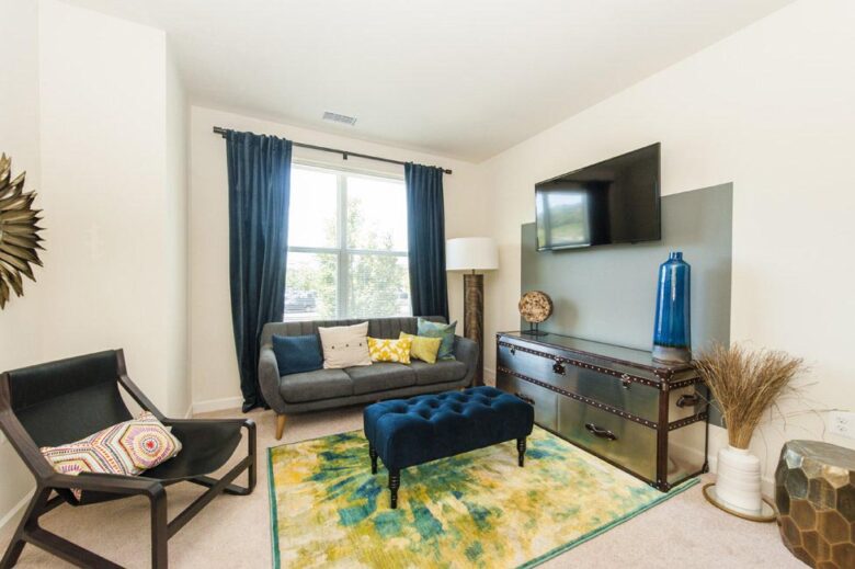 furnished living room